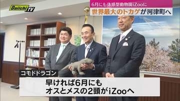 【トカゲ】世界最大の「コモドドラゴン」河津町の動物園へ 国内初の繁殖を目指す 知事に報告（静岡）