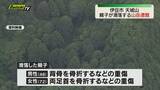 「天城山で登山中の親子が滑落する山岳遭難（静岡・伊豆市）」の画像1