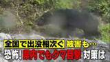 「【ご用心】全国で出没や被害相次ぐクマ…県内でも出没　遭遇体験者が語る恐怖の瞬間（静岡）」の画像1