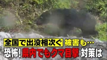 【ご用心】全国で出没や被害相次ぐクマ…県内でも出没　遭遇体験者が語る恐怖の瞬間（静岡）