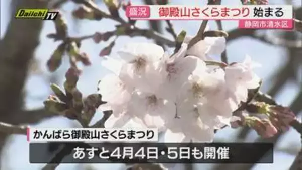 「【御殿山】｢さくらまつり｣始まる…まだ咲き始めの“花より団子!?”地元商店のグルメや宴会楽しむ人で盛況(静岡市清水区)」の画像