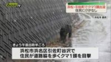 浜松市浜名区引佐町で道路脇を歩くクマ1頭を住民が目撃　森に逃げ込み住民にけがなし　猟友会が警戒