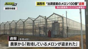農業用ハウスで出荷直前のメロン100個が盗まれる（静岡・湖西市）