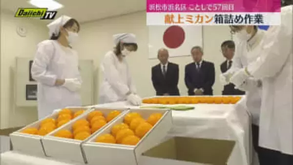 皇室献上のミカン箱詰め作業行われる　皇室への献上はことしで57回目（静岡・浜松市）