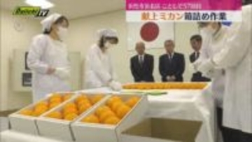 皇室献上のミカン箱詰め作業行われる　皇室への献上はことしで57回目（静岡・浜松市）