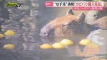 【冬至】日が短く寒さも戻る中…歳末と新年迎えるはざまのこの時季ｍｐ県内各地の表情は（静岡）