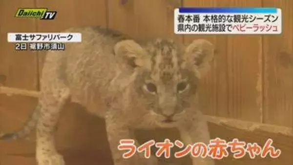 「静岡県内の観光施設で動物の赤ちゃん続々誕生！ 愛くるしい姿が来園者を魅了（静岡）」の画像