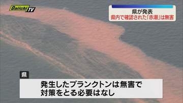 4月下旬ごろから発生していた赤潮・県は無害と発表（静岡県）