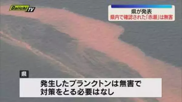 4月下旬ごろから発生していた赤潮・県は無害と発表（静岡県）