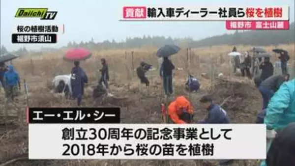 沼津市が本社の輸入車ディーラー社員らが富士山麓で桜の苗を植樹　創立30周年の記念事業としてスタート（静岡・裾野市）