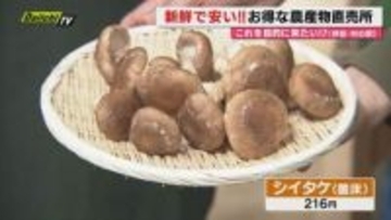 【献立予報】旬＆お得な食材を簡単レシピとともに紹介するコーナー！夕飯献立の参考に…今回おすすめは｢シイタケ｣(静岡)