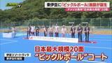 「東伊豆町にアメリカ発祥のスポーツ「ピックルボール」の国内最大規模のコート完成 東伊豆町の集客拡大に期待（静岡）」の画像1