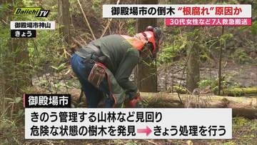 【究明】御殿場の倒木7人搬送 倒れた木の”根腐れ”が原因の可能性 県が県内各地の農林事務所にあらためて点検するよう通知へ（静岡）