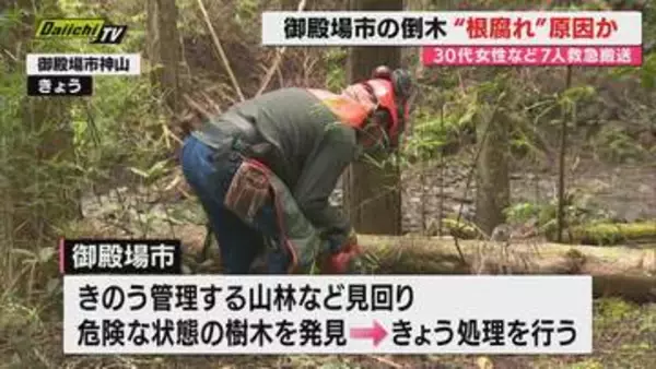 【究明】御殿場の倒木7人搬送 倒れた木の”根腐れ”が原因の可能性 県が県内各地の農林事務所にあらためて点検するよう通知へ（静岡）