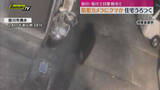 「防犯カメラにクマとみられる動物...住宅近くうろつく クマの目撃情報相次ぐ（静岡・掛川市）」の画像1