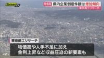 去年1年間の県内企業の倒産件数242年で増加傾向（静岡県）