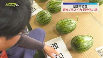 「姫まくらスイカ」が出荷を迎え目ぞろい会が行われる（静岡・湖西市）