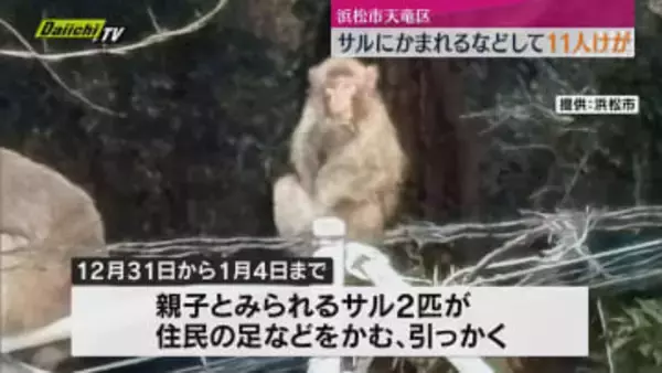 浜松市天竜区でサルにかまれるなどして11人被害　市や猟友会が捕獲試みる（静岡）