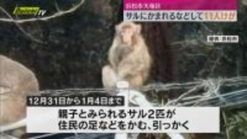 浜松市天竜区でサルにかまれるなどして11人被害　市や猟友会が捕獲試みる（静岡）
