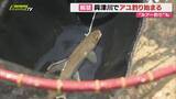 「興津川でアユ釣り解禁。今年からルアーの使用も可能に（静岡市清水区）」の画像1