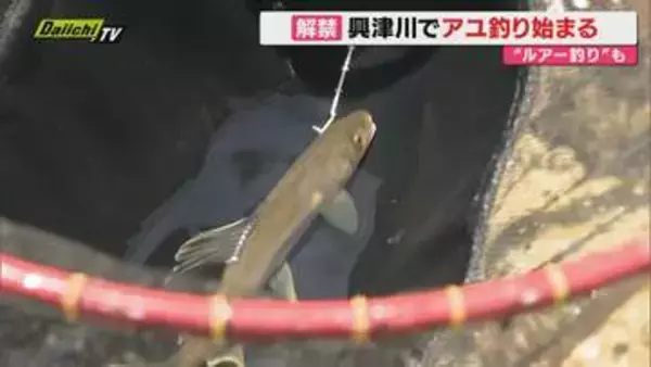 興津川でアユ釣り解禁。今年からルアーの使用も可能に（静岡市清水区）