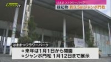 約３.５ｍのジャンボ門松が登場 はままつフラワーパーク（静岡・浜松市）