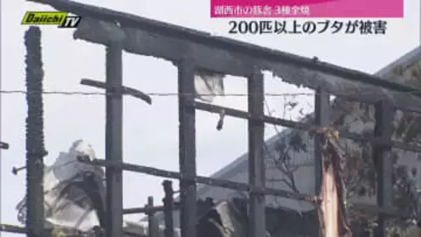 豚舎焼く火事　被害２００匹以上か（静岡・湖西市）