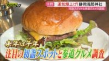 新年に行きたい初詣スポット・静岡浅間神社　バリエーション豊富な参道グルメを大調査！（静岡市葵区）