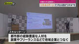 「「スキルリターン」でプロ人材のスキルを県内企業に（静岡市）」の画像1