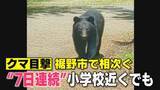 「【厳戒態勢】4月以降 県内でクマの目撃情報相次ぎ駆除例も…裾野市や浜松市など各地で警戒を強化（静岡）」の画像1