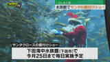 「【恒例】サンタクロース姿のダイバーに集まる魚群！水族館で人気の餌付けショー今シーズンも（静岡･下田市）」の画像1