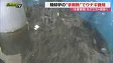 「【特許出願中】下水処理“余剰熱”をウナギ養殖に活用!?コスト削減も…本格実証実験へプロジェクト成果報告会(浜松市)」の画像1