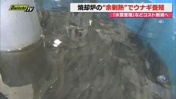 【特許出願中】下水処理“余剰熱”をウナギ養殖に活用!?コスト削減も…本格実証実験へプロジェクト成果報告会(浜松市)