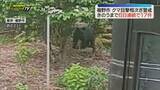 「【異常事態】裾野市でクマ目撃 25日までの6日連続・計17件…市が警戒呼びかけ（静岡）」の画像1