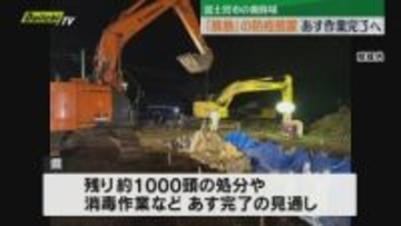 養豚場で感染が確認された「豚熱」防疫措置、14日作業が完了へ（静岡・富士宮市）