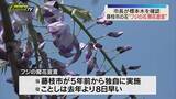 「藤枝市の花”フジの花開花宣言” 市長が標本木で5房5輪以上の開花を確認（静岡）」の画像1