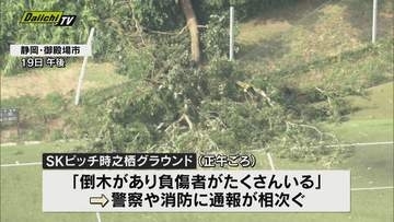 当時の状況を目撃者が語る…倒木がサッカー観戦者に直撃し女児２人含む８人が重軽傷（静岡・御殿場市）