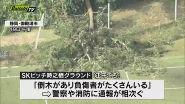 当時の状況を目撃者が語る…倒木がサッカー観戦者に直撃し女児２人含む８人が重軽傷（静岡・御殿場市）