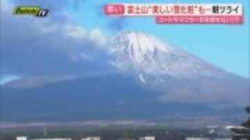 【師走序盤】寒暖のギャップに戸惑いつつも…年の瀬に向かう県内各地の表情は（静岡）
