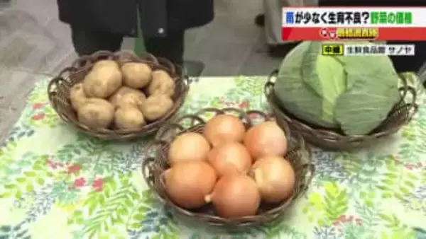 野菜の高値続く　仕入れ価格はタマネギ80円　ジャガイモ50円　キャベツ20円値上がり　少雨が影響か