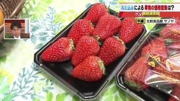 イチゴ「紅ほっぺ」端境期で仕入れ価格が20円アップ　ハッサクは出荷順調で値下がり