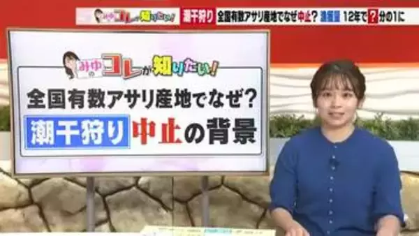 愛知県で潮干狩りが続々中止に　問題はアサリ　一体なにが起きているのか調査してみた