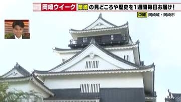 「岡崎城下 家康公夏まつり」花火大会をテレビ愛知が生中継 ドローン映像などで迫力ある夜空をお届け