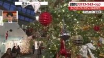 約8メートルのクリスマスツリー含む26本のツリーが光輝く　園内はクリスマス一色に　愛知のデンパーク