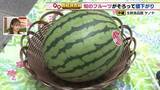 「夏の味覚が続々と値下がり！　小玉スイカ・巨峰・デラウェアの最新価格動向」の画像1