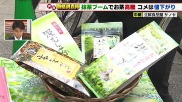 世界で抹茶ブーム→お茶が高騰　さらに後継者不足による生産量減　日本茶100グラムで200円超上昇