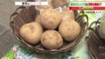 急な冷え込みで「レタス」の仕入れ価格が20円上昇　ホウレンソウは出荷安定で価格は例年並みに