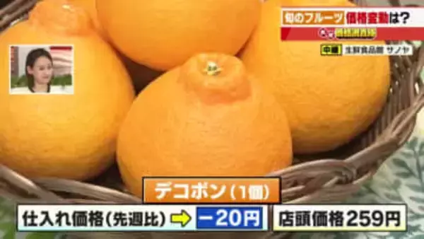 夏の暑さで生育に影響　「デコポン」が徐々に値下がりへ　仕入れ価格は1個-20円　紅ほっぺの生育は順調
