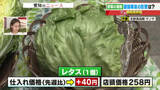「急な冷え込みでレタスが値上がり　寒さに強いハクサイは値下がり　列島を襲う「最強寒波」の野菜への影響は」の画像1