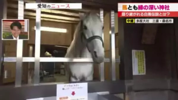 「お伊勢参らば、お多度もかけよ。お多度かけねば、片参り」三重・桑名市の多度大社「白馬伝説」調べてみた